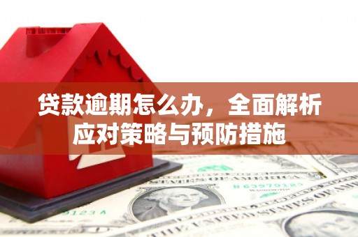 巧家贷款逾期怎么办，全面解析应对策略与预防措施