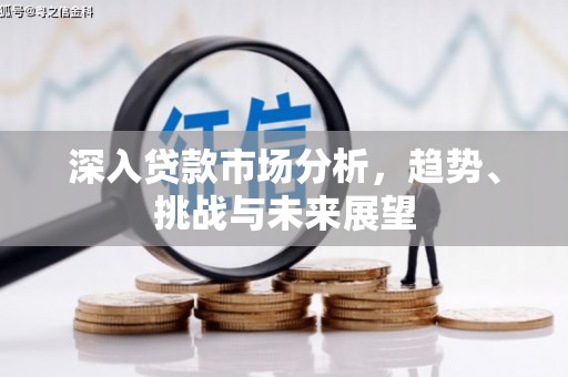 巧家深入贷款市场分析，趋势、挑战与未来展望