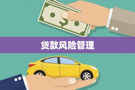 巧家贷款风险管理