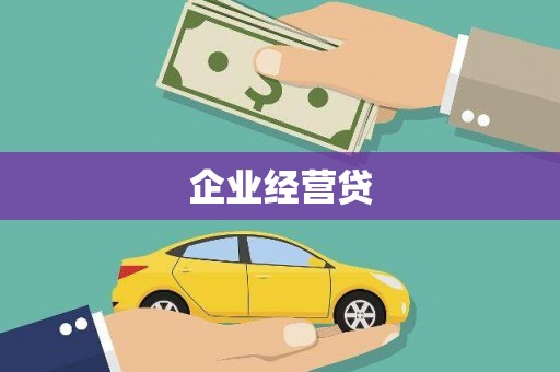巧家企业经营贷
