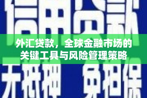 巧家外汇贷款，全球金融市场的关键工具与风险管理策略
