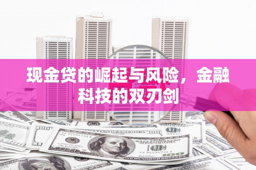 巧家现金贷的崛起与风险，金融科技的双刃剑