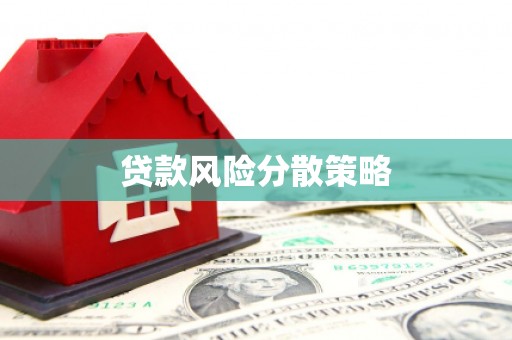 巧家贷款风险分散策略