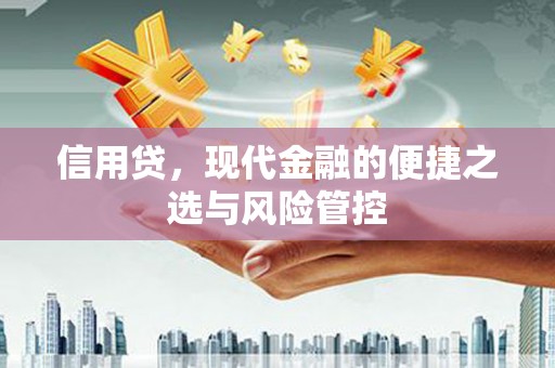 巧家信用贷，现代金融的便捷之选与风险管控