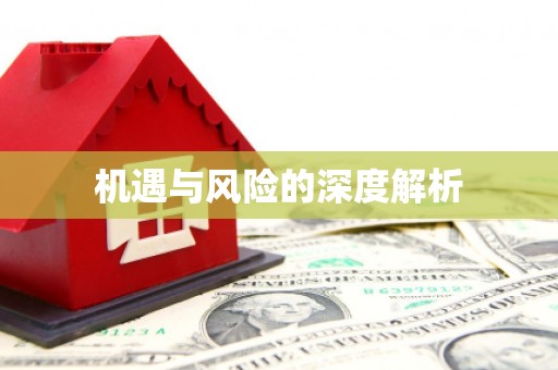 巧家机遇与风险的深度解析