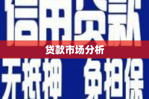 巧家贷款市场分析