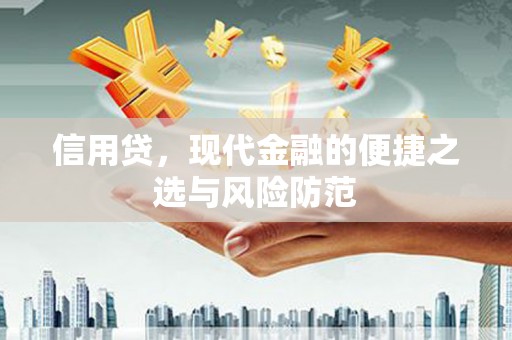 巧家信用贷，现代金融的便捷之选与风险防范