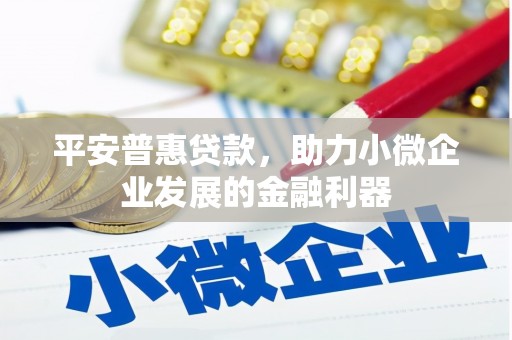 巧家平安普惠贷款，助力小微企业发展的金融利器