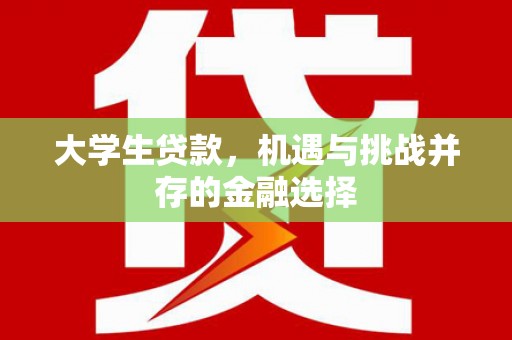巧家大学生贷款，机遇与挑战并存的金融选择