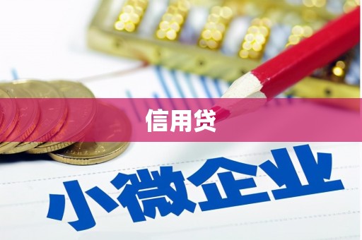 巧家信用贷