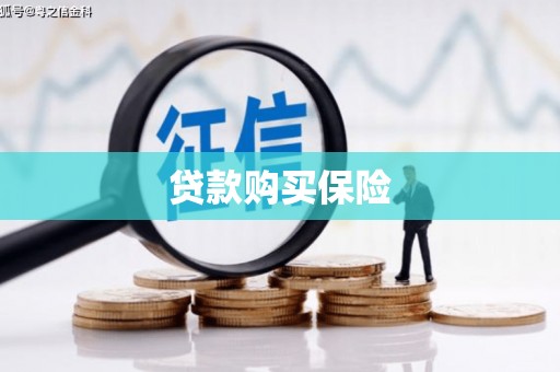 巧家贷款购买保险