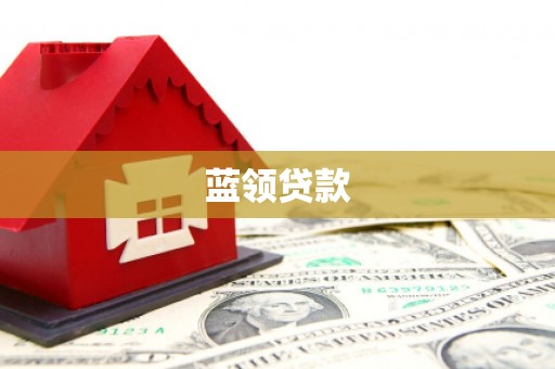 巧家蓝领贷款
