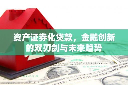 巧家资产证券化贷款，金融创新的双刃剑与未来趋势
