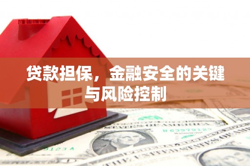 巧家贷款担保，金融安全的关键与风险控制