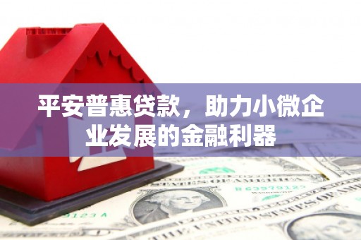 巧家平安普惠贷款，助力小微企业发展的金融利器