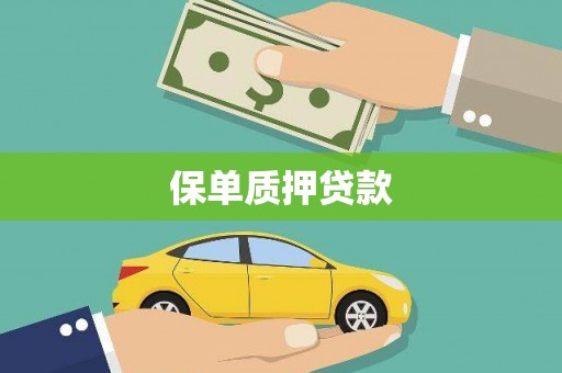 巧家保单质押贷款
