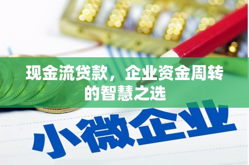 巧家现金流贷款，企业资金周转的智慧之选