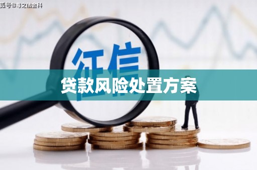 巧家贷款风险处置方案