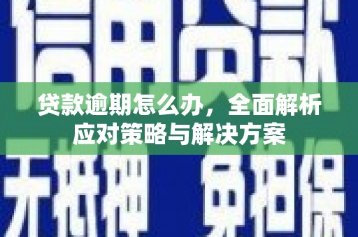 巧家贷款逾期怎么办，全面解析应对策略与解决方案