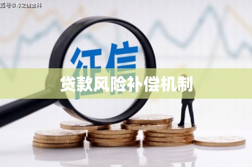 巧家贷款风险补偿机制