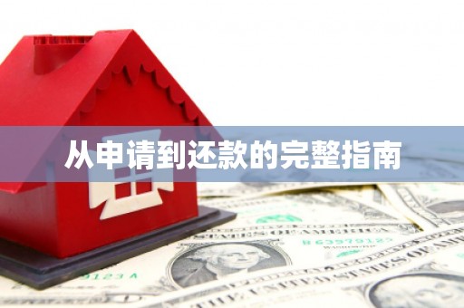巧家从申请到还款的完整指南