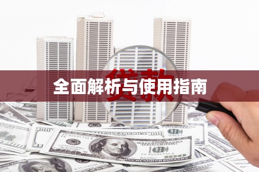 巧家全面解析与使用指南