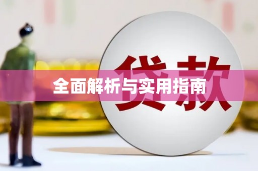 巧家全面解析与实用指南