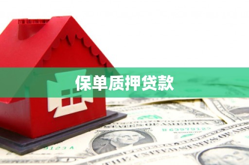 巧家保单质押贷款