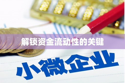巧家解锁资金流动性的关键