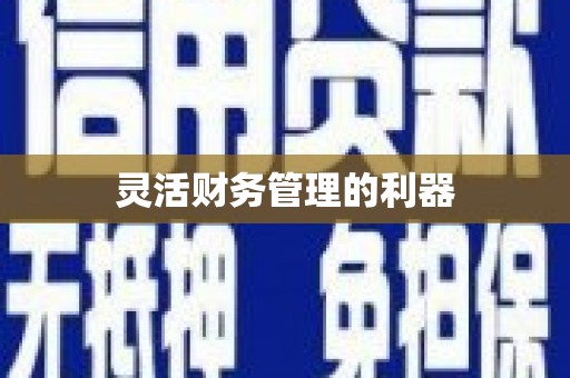 巧家灵活财务管理的利器
