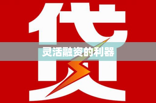 巧家灵活融资的利器