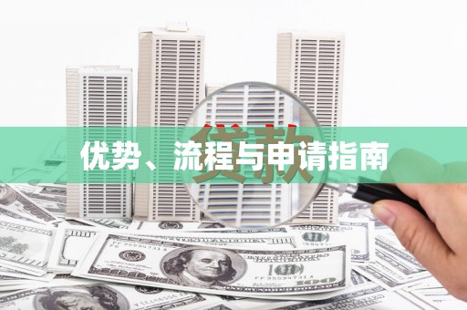 巧家优势、流程与申请指南