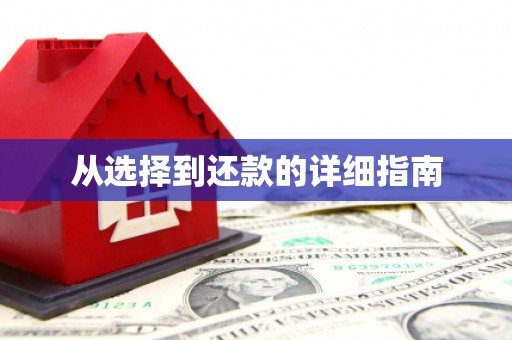 巧家从选择到还款的详细指南