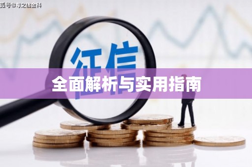 巧家全面解析与实用指南