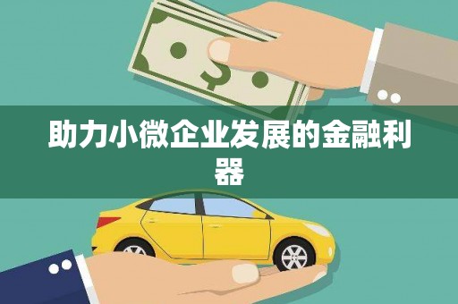 巧家助力小微企业发展的金融利器