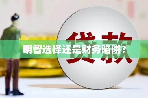 巧家明智选择还是财务陷阱？