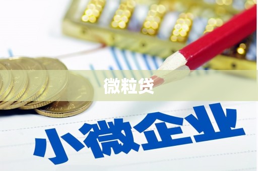 巧家微粒贷