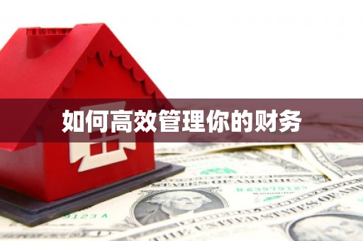 巧家如何高效管理你的财务