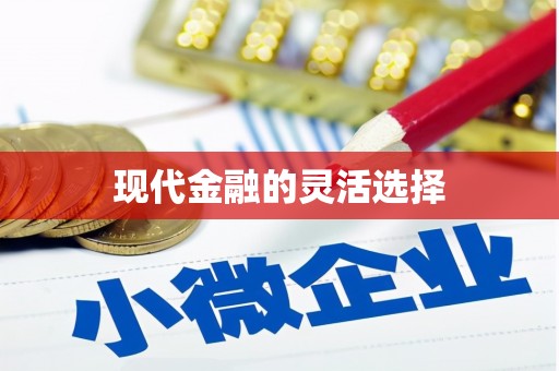 巧家现代金融的灵活选择