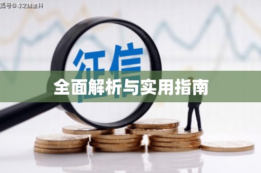 巧家全面解析与实用指南