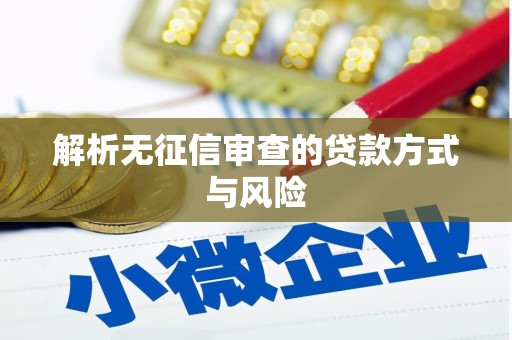 巧家解析无征信审查的贷款方式与风险