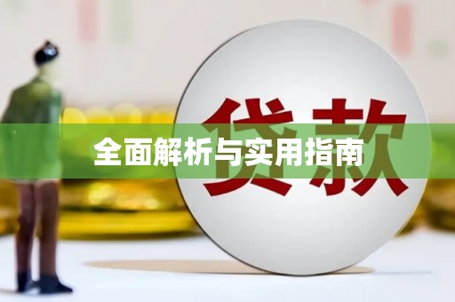 巧家全面解析与实用指南