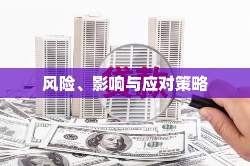 巧家风险、影响与应对策略