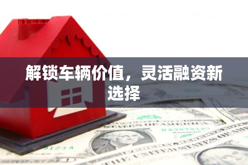 巧家解锁车辆价值，灵活融资新选择