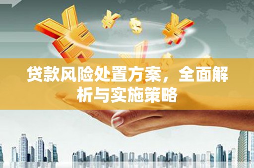 巧家贷款风险处置方案，全面解析与实施策略