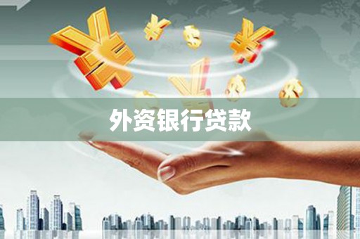 巧家外资银行贷款