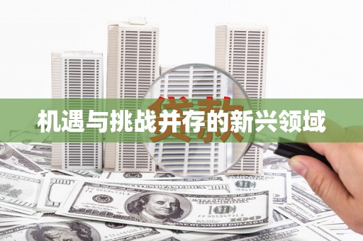 巧家机遇与挑战并存的新兴领域