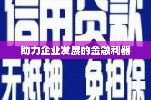 巧家助力企业发展的金融利器