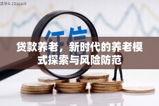 巧家贷款养老，新时代的养老模式探索与风险防范