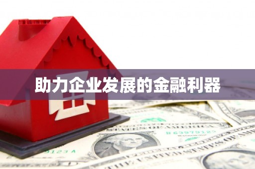 巧家助力企业发展的金融利器